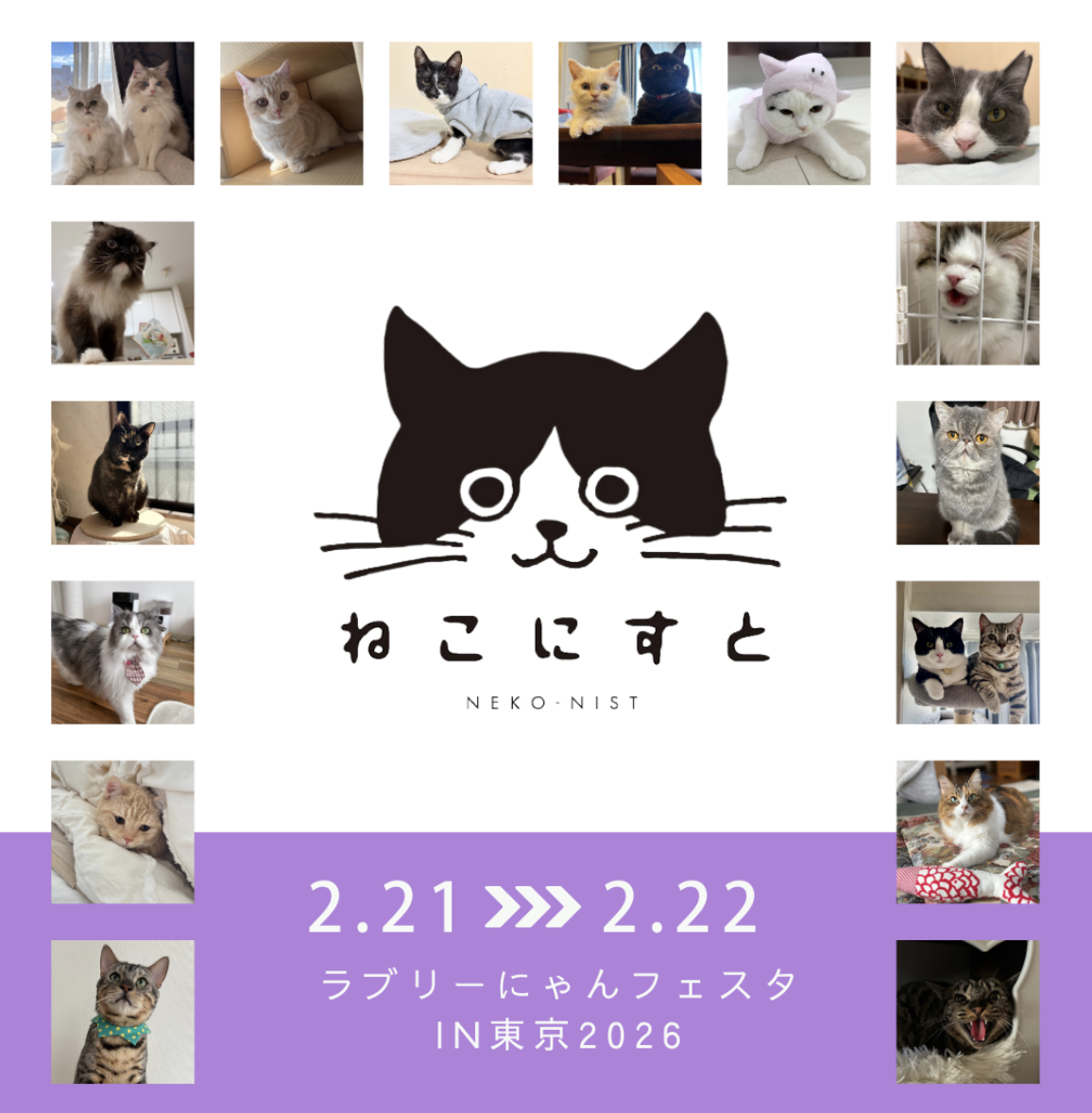 ねこにすと